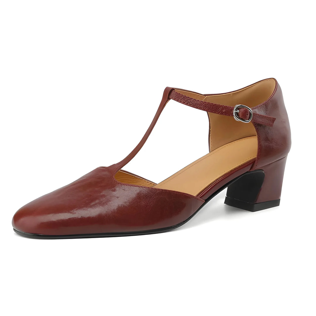 Women's Mary Jane Chunky Heels Shoes with Block Heel and Non Slip