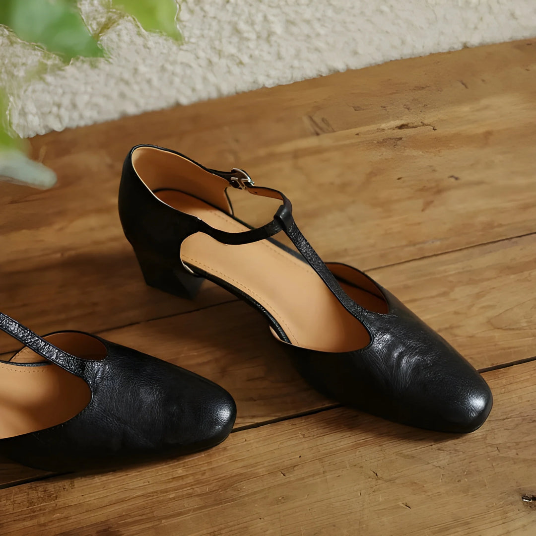 Women's Mary Jane Chunky Heels Shoes with Block Heel and Non Slip